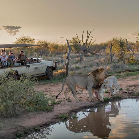 Tuningi Safari Lodge Reserva de Madikwe Exterior foto