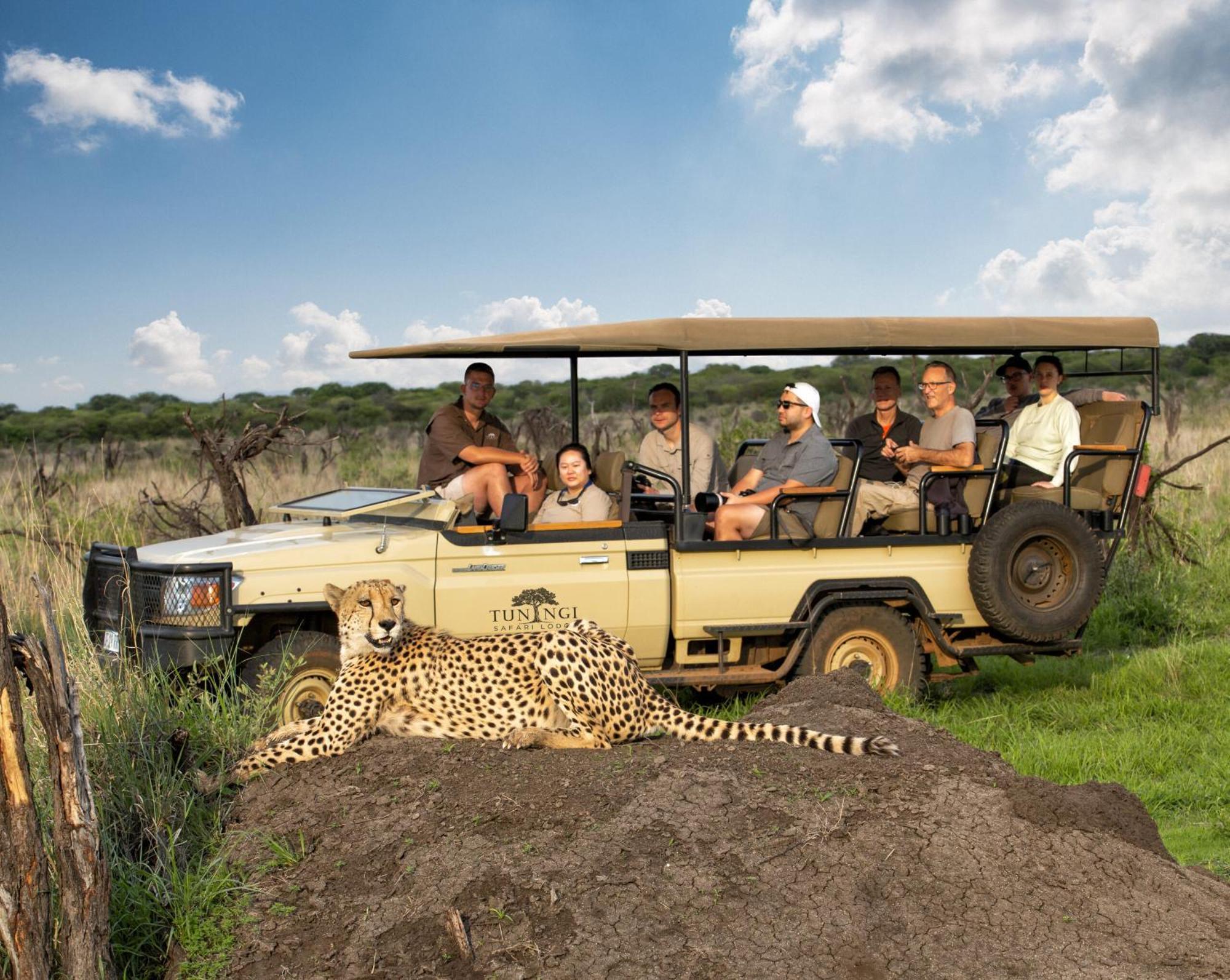 Tuningi Safari Lodge Reserva de Madikwe Exterior foto