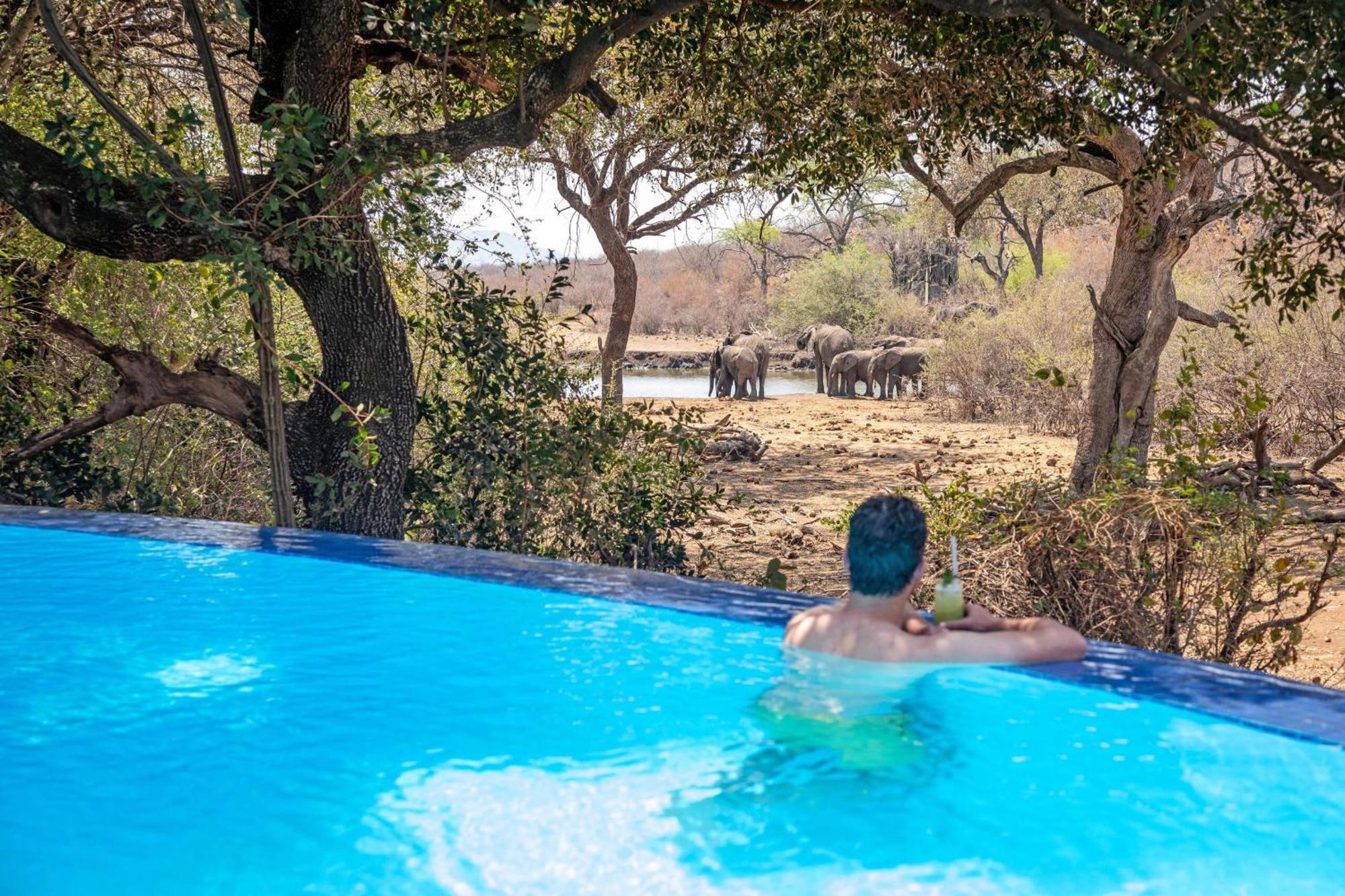 Tuningi Safari Lodge Reserva de Madikwe Exterior foto