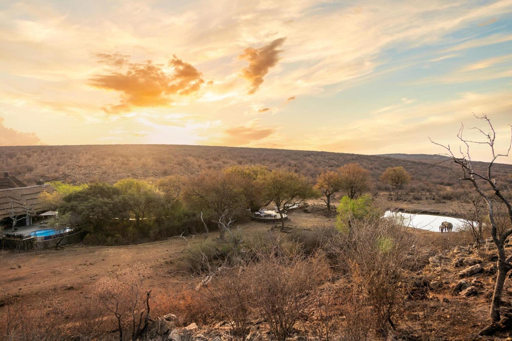 Tuningi Safari Lodge Reserva de Madikwe Exterior foto