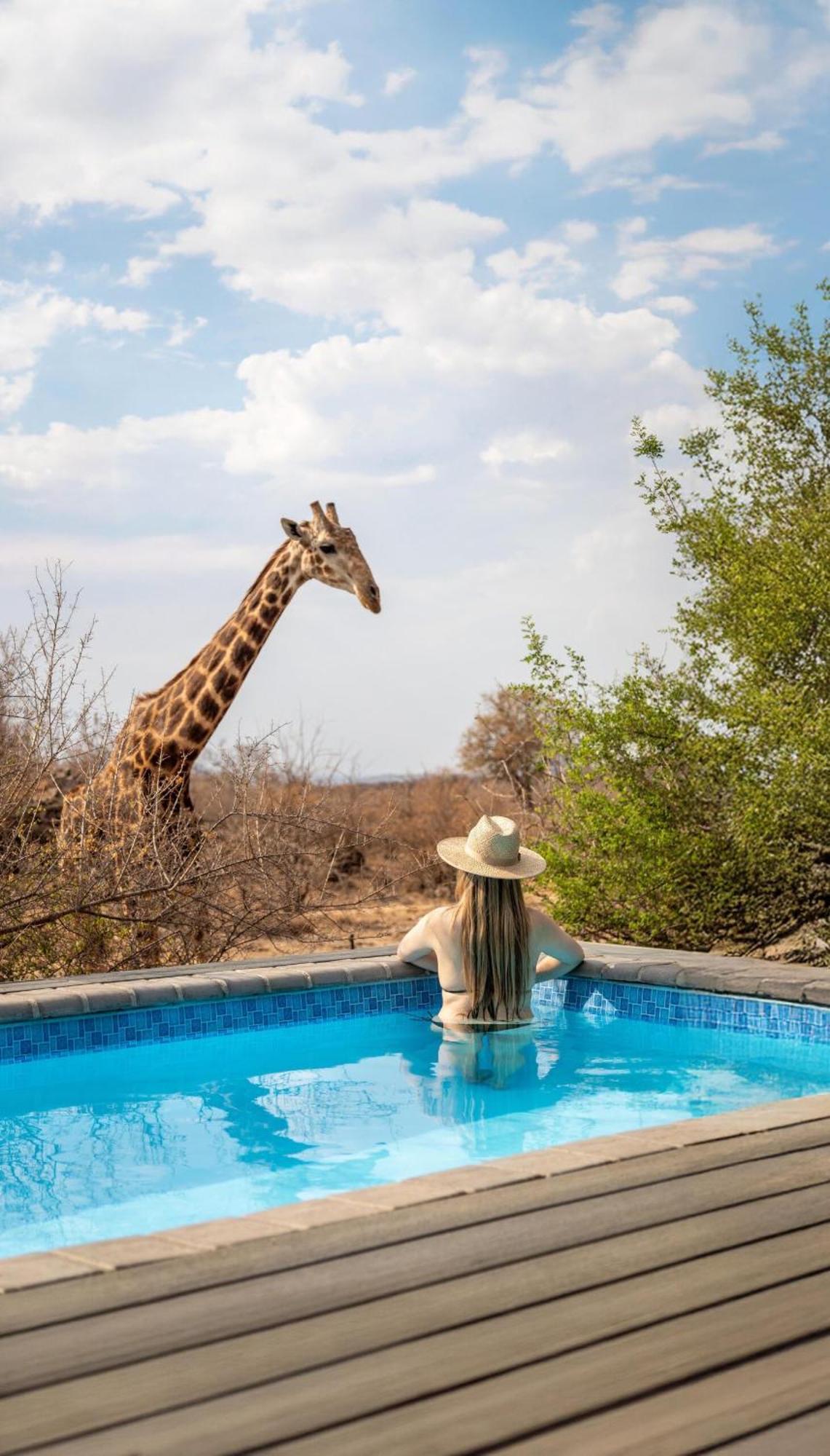 Tuningi Safari Lodge Reserva de Madikwe Exterior foto